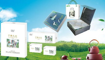 十一畅游宁强 多彩活动与旅行攻略助你玩转假期